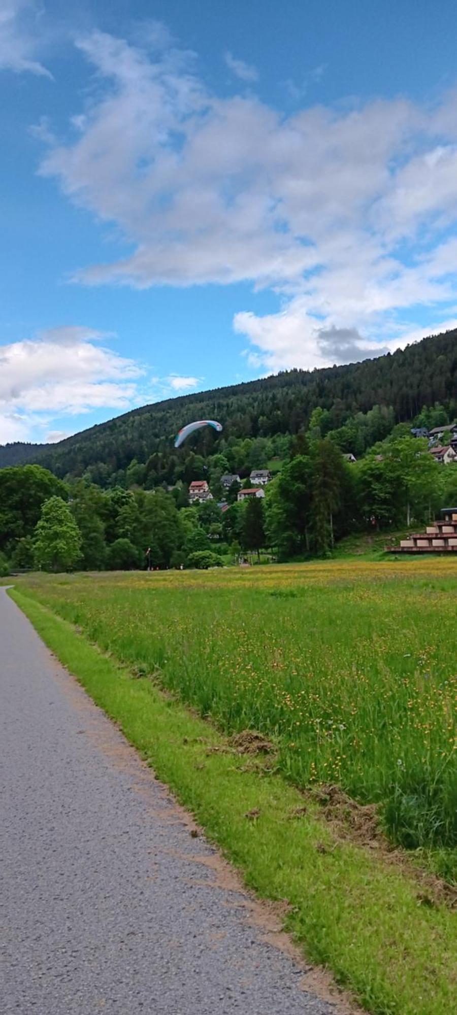 Ferienwohnung in ruhiger Waldrandlage Bad Wildbad Zimmer foto