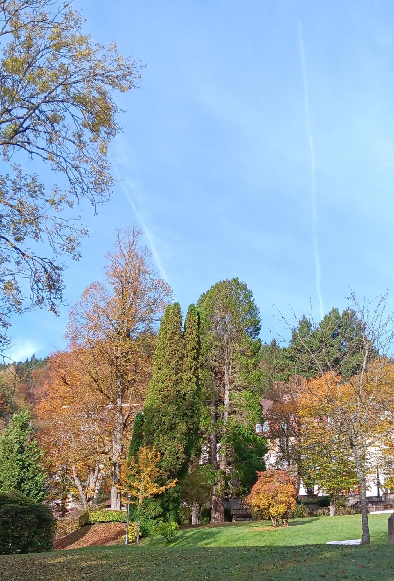 Ferienwohnung in ruhiger Waldrandlage Bad Wildbad Zimmer foto